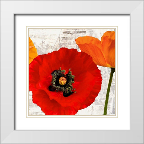 Summer Poppies III White Modern Wood Framed Art Print with Double Matting by Thomlinson, Jenny