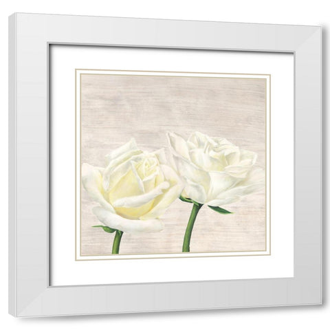Classic Roses II White Modern Wood Framed Art Print with Double Matting by Jenny, Thomlinson