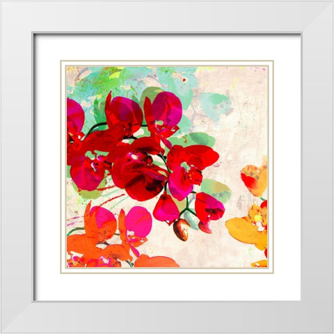 Orchidreams (detail) White Modern Wood Framed Art Print with Double Matting by Kelly, Parr