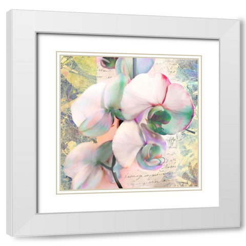 Kaleidoscope Orchid (detail) White Modern Wood Framed Art Print with Double Matting by Kelly, Parr