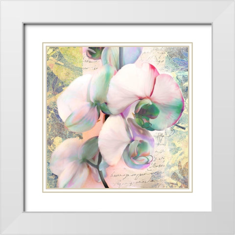 Kaleidoscope Orchid (detail) White Modern Wood Framed Art Print with Double Matting by Kelly, Parr