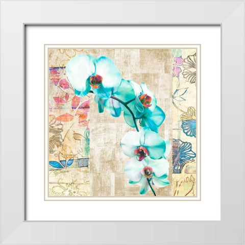 Kaleidoscope Orchid II (detail) White Modern Wood Framed Art Print with Double Matting by Kelly, Parr