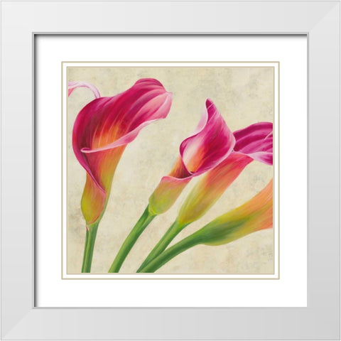 Calla parade White Modern Wood Framed Art Print with Double Matting by Villa, Luca