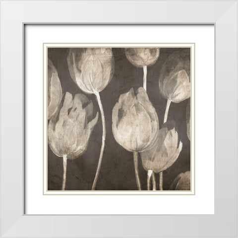 Washed Tulips I White Modern Wood Framed Art Print with Double Matting by Villa, Luca