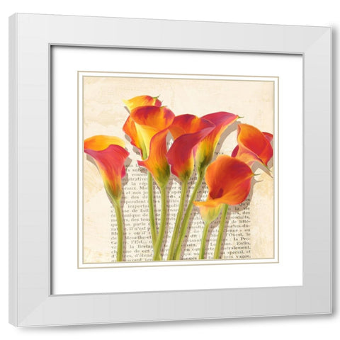 Histoires de Callas (detail) White Modern Wood Framed Art Print with Double Matting by Villa, Luca