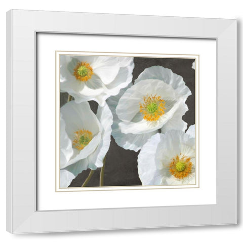 Poppies on Chalkboard I White Modern Wood Framed Art Print with Double Matting by Leonardo, Sanna