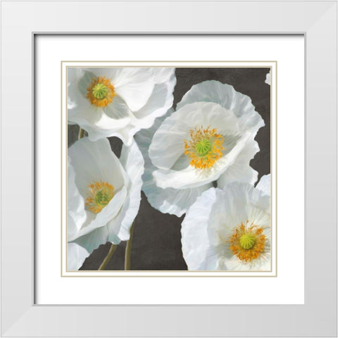 Poppies on Chalkboard I White Modern Wood Framed Art Print with Double Matting by Leonardo, Sanna