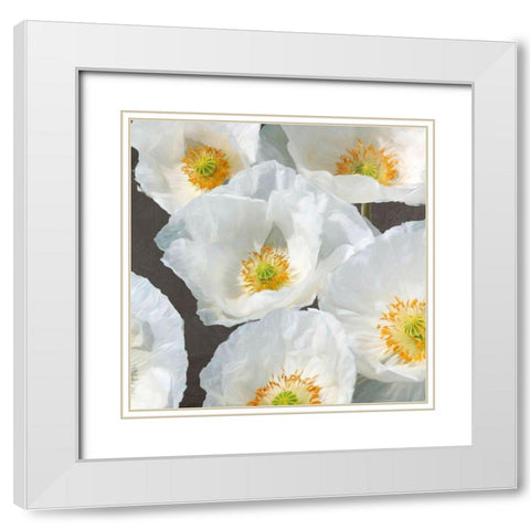 Poppies on Chalkboard II White Modern Wood Framed Art Print with Double Matting by Leonardo, Sanna