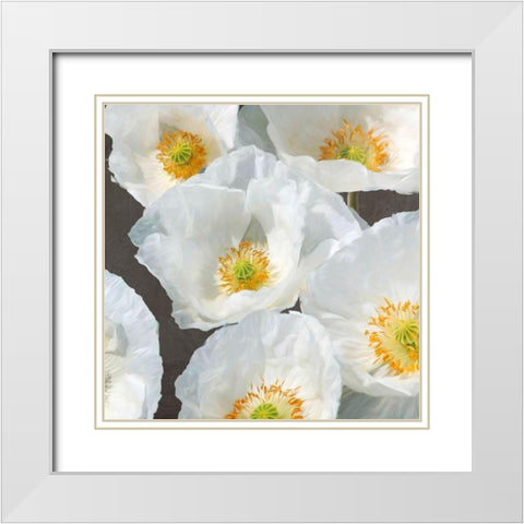 Poppies on Chalkboard II White Modern Wood Framed Art Print with Double Matting by Leonardo, Sanna