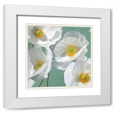 Poppies on Mint I White Modern Wood Framed Art Print with Double Matting by Leonardo, Sanna