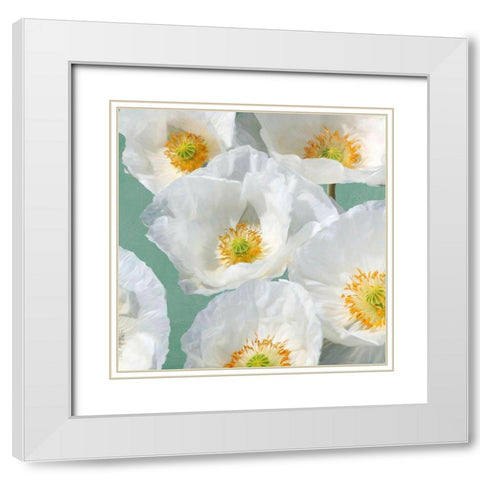 Poppies on Mint II White Modern Wood Framed Art Print with Double Matting by Leonardo, Sanna