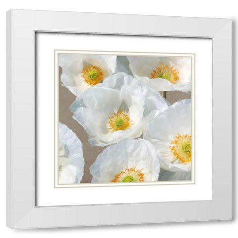 Poppies on Taupe II White Modern Wood Framed Art Print with Double Matting by Leonardo, Sanna