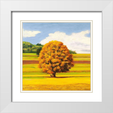 Pianure serene I (detail) White Modern Wood Framed Art Print with Double Matting by Angelo, Masera