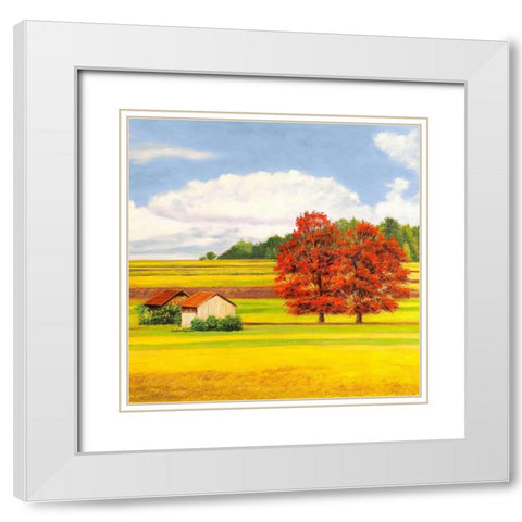 Pianure serene II (detail) White Modern Wood Framed Art Print with Double Matting by Angelo, Masera