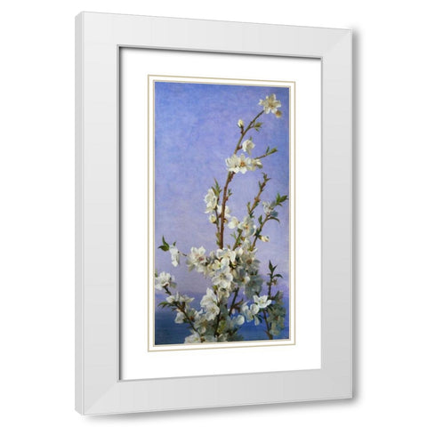 Blossom II White Modern Wood Framed Art Print with Double Matting by Anderson, Sophie