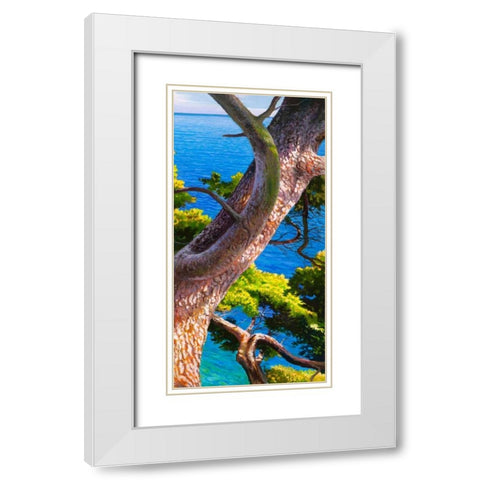 Lavandou III White Modern Wood Framed Art Print with Double Matting by Galasso, Adriano
