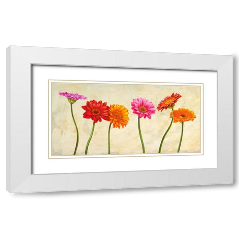 Gerberas White Modern Wood Framed Art Print with Double Matting by Ann, Cynthia