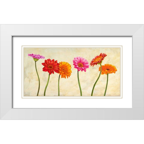 Gerberas White Modern Wood Framed Art Print with Double Matting by Ann, Cynthia