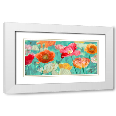 Poppies in Bloom White Modern Wood Framed Art Print with Double Matting by Cynthia, Ann