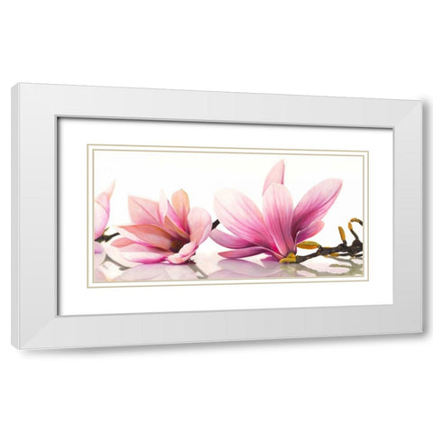 Magnolia White Modern Wood Framed Art Print with Double Matting by Ann, Cynthia