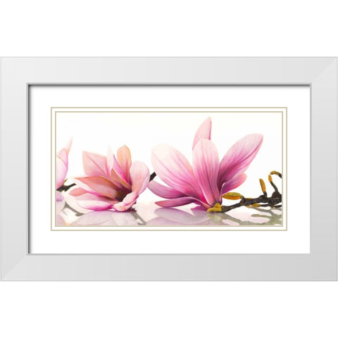 Magnolia White Modern Wood Framed Art Print with Double Matting by Ann, Cynthia
