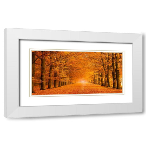 Woods in autumn White Modern Wood Framed Art Print with Double Matting by Pangea Images