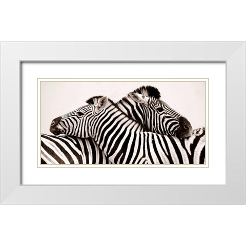 Zebras in love White Modern Wood Framed Art Print with Double Matting by Anonymous