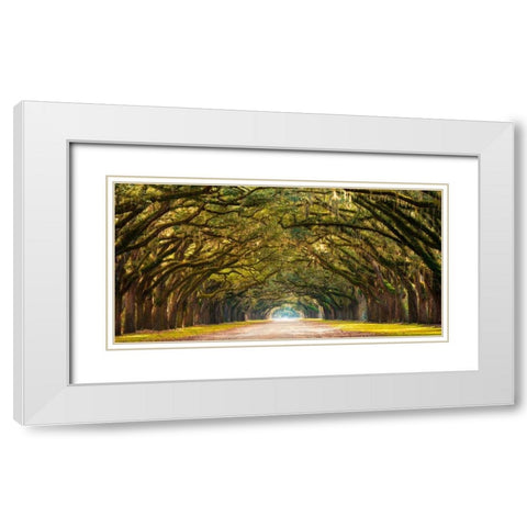 Path lined with oak trees White Modern Wood Framed Art Print with Double Matting by Anonymous