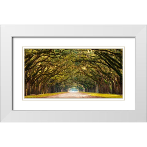 Path lined with oak trees White Modern Wood Framed Art Print with Double Matting by Anonymous