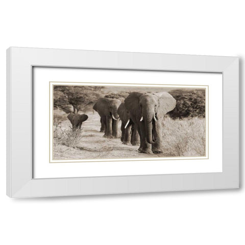 Herd of African Elephants- Kenya White Modern Wood Framed Art Print with Double Matting by Anonymous