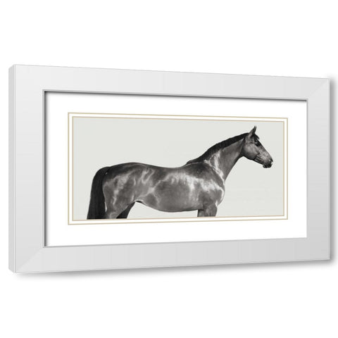 Kingsman Cavalier- English Thoroughbred White Modern Wood Framed Art Print with Double Matting by Pangea Images