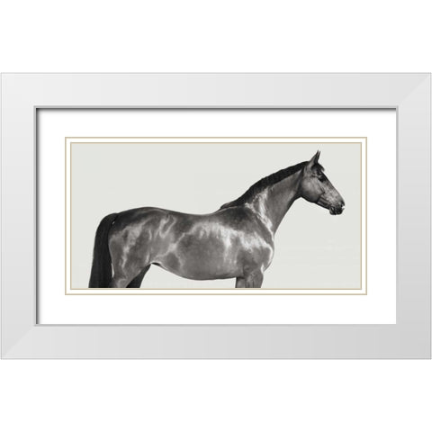 Kingsman Cavalier- English Thoroughbred White Modern Wood Framed Art Print with Double Matting by Pangea Images