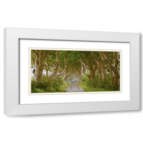 The Dark Hedges, Ireland White Modern Wood Framed Art Print with Double Matting by Pangea Images