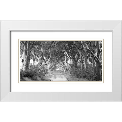 The Dark Hedges, Ireland (BW) White Modern Wood Framed Art Print with Double Matting by Pangea Images