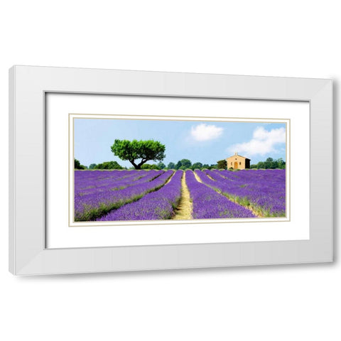 Lavender Fields, France  White Modern Wood Framed Art Print with Double Matting by Pangea Images
