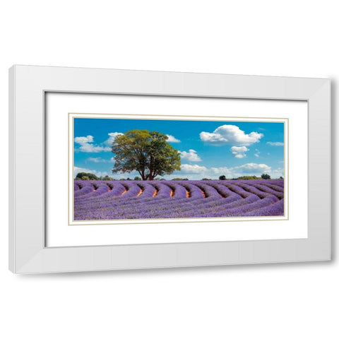 Lavender Field in Provence, France White Modern Wood Framed Art Print with Double Matting by Pangea Images
