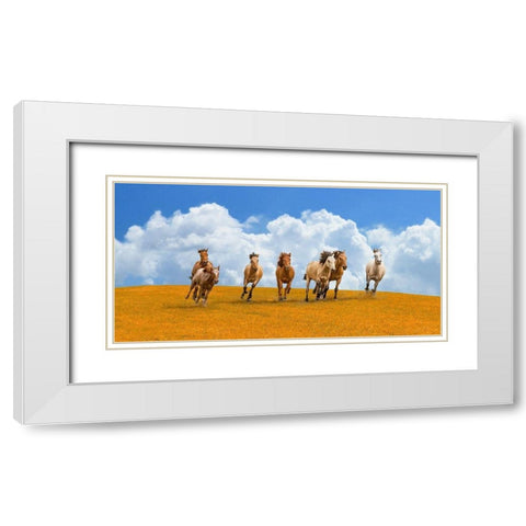 Herd of wild horses White Modern Wood Framed Art Print with Double Matting by Pangea Images
