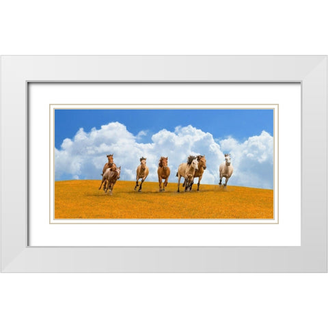 Herd of wild horses White Modern Wood Framed Art Print with Double Matting by Pangea Images