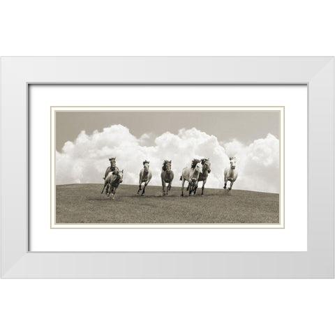 Herd of wild horses (BW) White Modern Wood Framed Art Print with Double Matting by Pangea Images