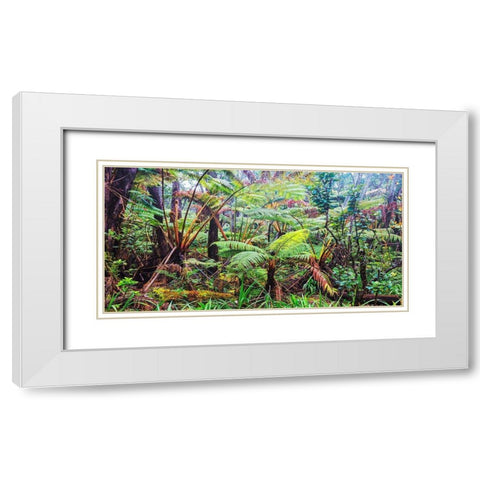 Palm and fern forest, Hawaii (detail) White Modern Wood Framed Art Print with Double Matting by Pangea Images