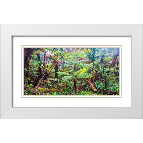 Palm and fern forest, Hawaii (detail) White Modern Wood Framed Art Print with Double Matting by Pangea Images