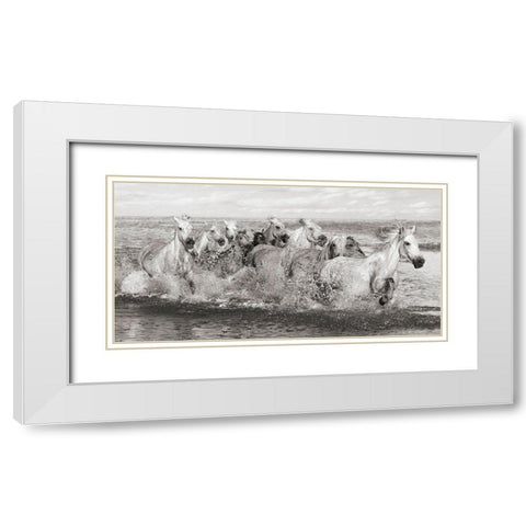 Herd of Horses- Camargue White Modern Wood Framed Art Print with Double Matting by Pangea Images