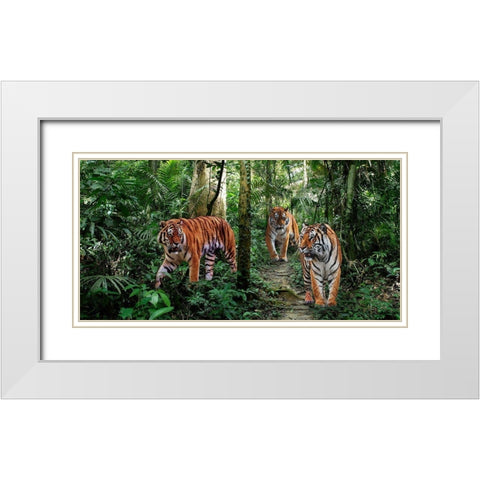 Bengal Tigers (detail) White Modern Wood Framed Art Print with Double Matting by Pangea Images