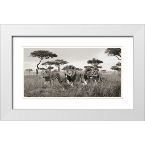 Brothers- Masai Mara- Kenya (detail) White Modern Wood Framed Art Print with Double Matting by Pangea Images