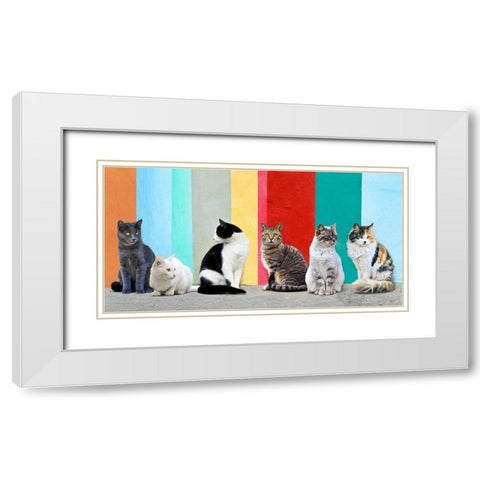 Cats in the Sun White Modern Wood Framed Art Print with Double Matting by Pangea Images