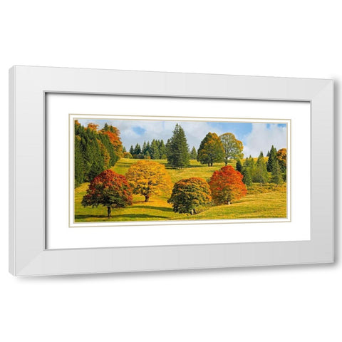 Autumn in Quebec White Modern Wood Framed Art Print with Double Matting by Pangea Images