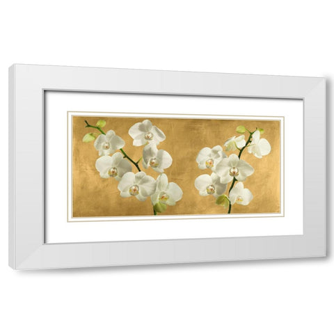 Orchids on a Golden Background White Modern Wood Framed Art Print with Double Matting by Antinori, Andrea