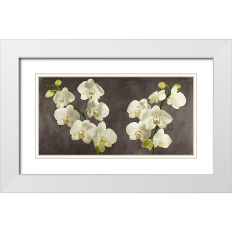 Orchids on Grey Background White Modern Wood Framed Art Print with Double Matting by Antinori, Andrea