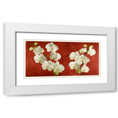 Orchids on Red Background White Modern Wood Framed Art Print with Double Matting by Antinori, Andrea