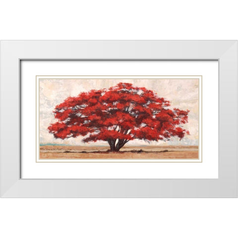 Silva White Modern Wood Framed Art Print with Double Matting by Bacci, Leonardo